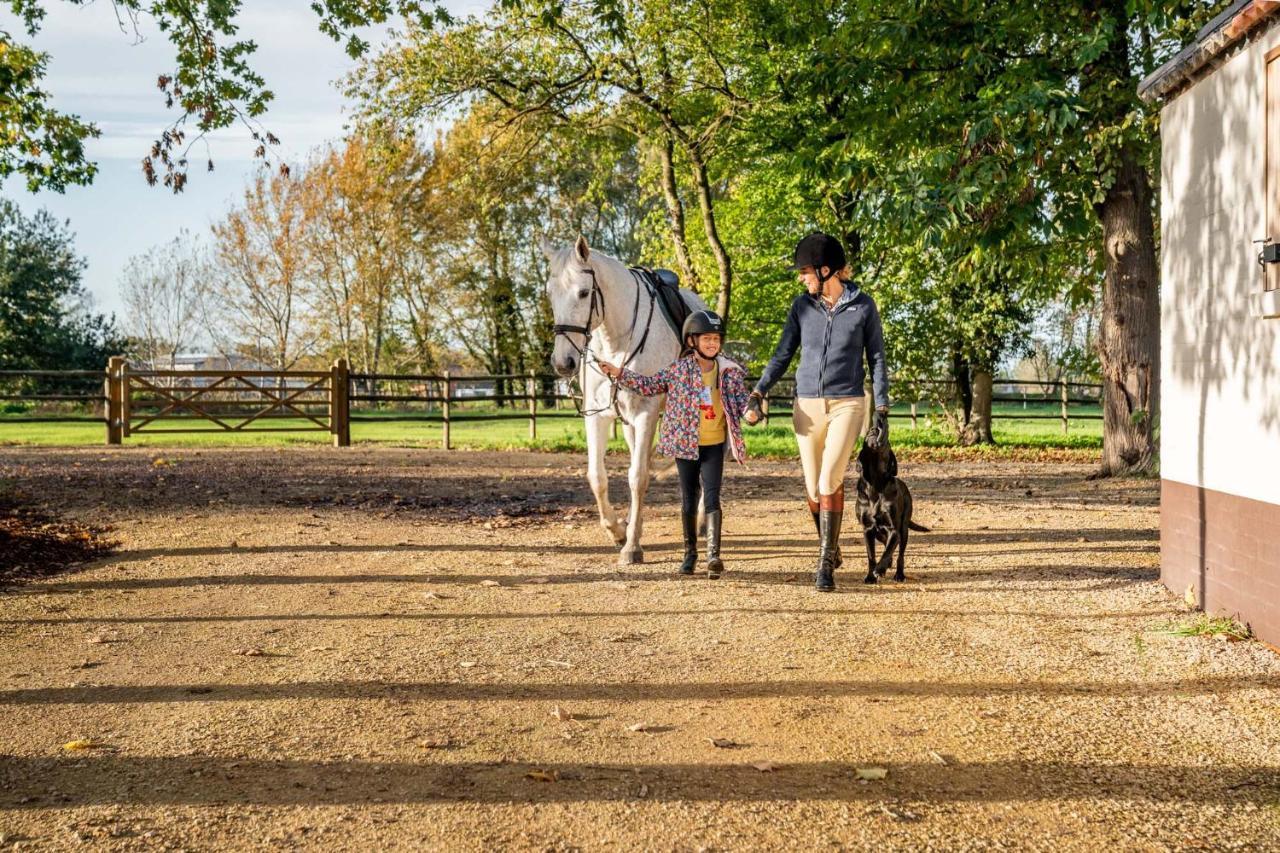 Equilodge 'T Blommeke - Reconnect With Nature Μπριζ Εξωτερικό φωτογραφία
