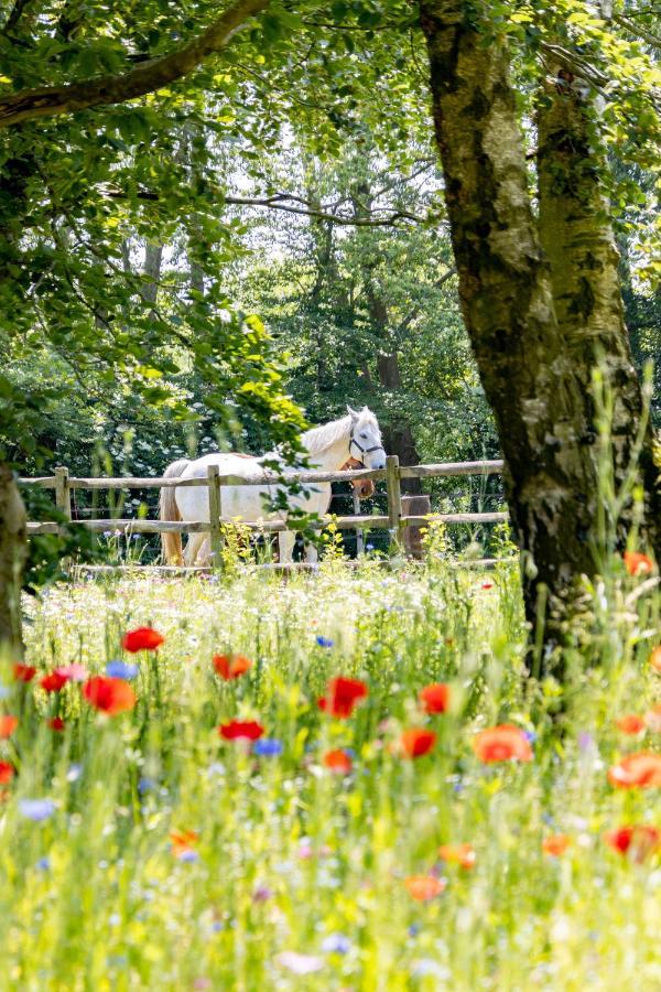 Equilodge 'T Blommeke - Reconnect With Nature Μπριζ Εξωτερικό φωτογραφία
